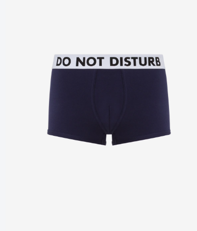 Boxer DO NOT DISTURB